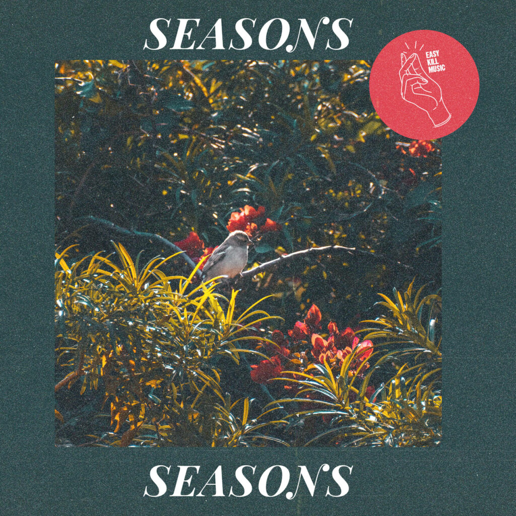 Dream Pop Type Beat Seasons